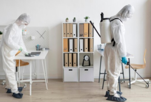 Flea Control: A Comprehensive Guide to a Pest-Free Home