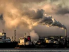 Building Decarbonization Coalition Strategies