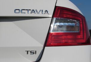 Skoda Octavia cars