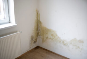 Mold Growth In Damp Areas Of Your Home?