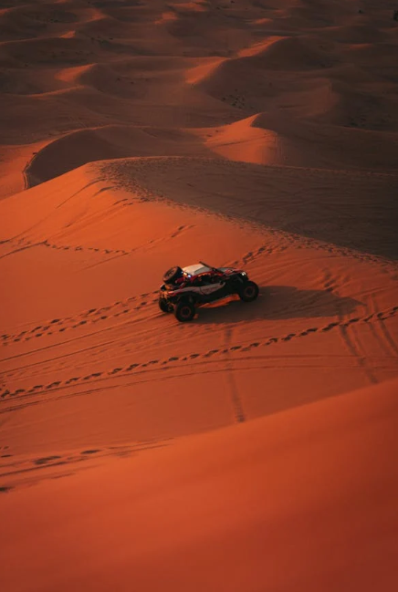 Why Abu Dhabi Desert Safaris Should Be on Your Travel Radar