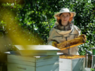 Beekeeping Suit Essentials