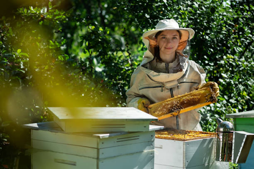 Beekeeping Suit Essentials