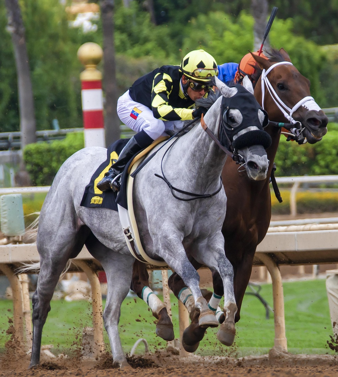 Kentucky Derby