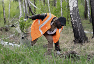 Wildlife Control Services