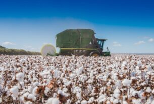 Proper maintenance not only improves the efficiency and reliability of your cotton