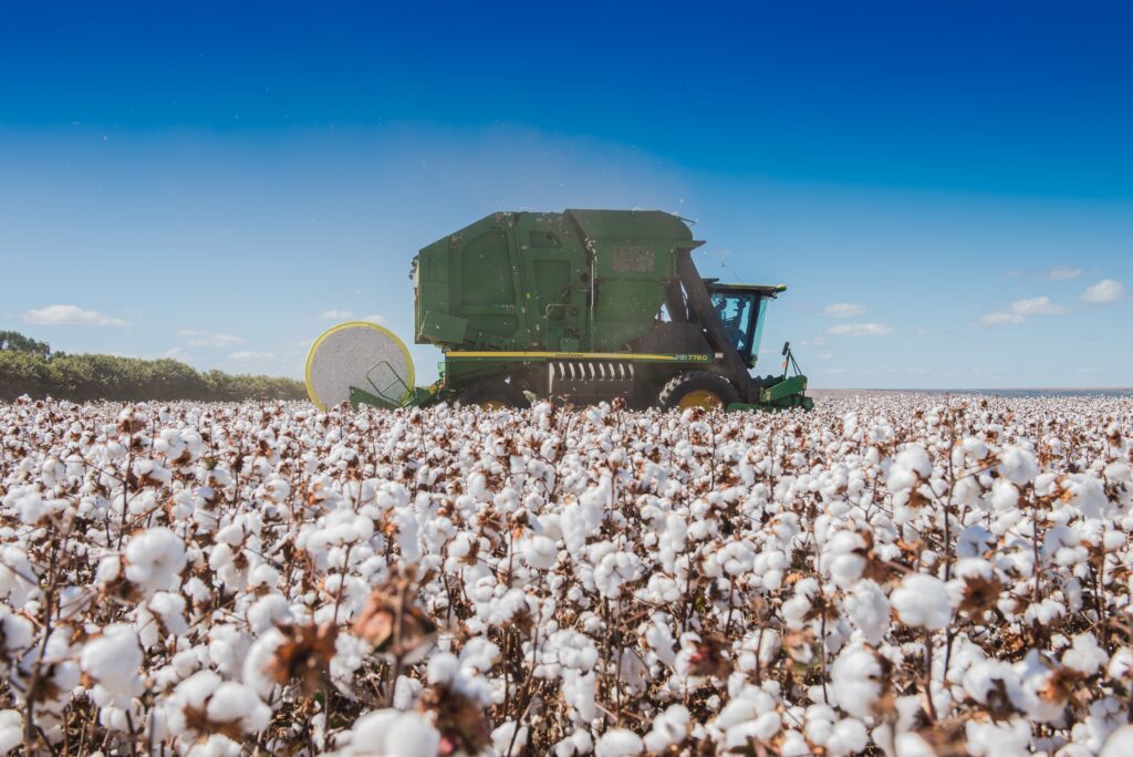 Proper maintenance not only improves the efficiency and reliability of your cotton