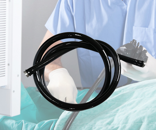 Endoscope Anatomy