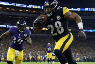 Steelers vs Baltimore Ravens match player stats