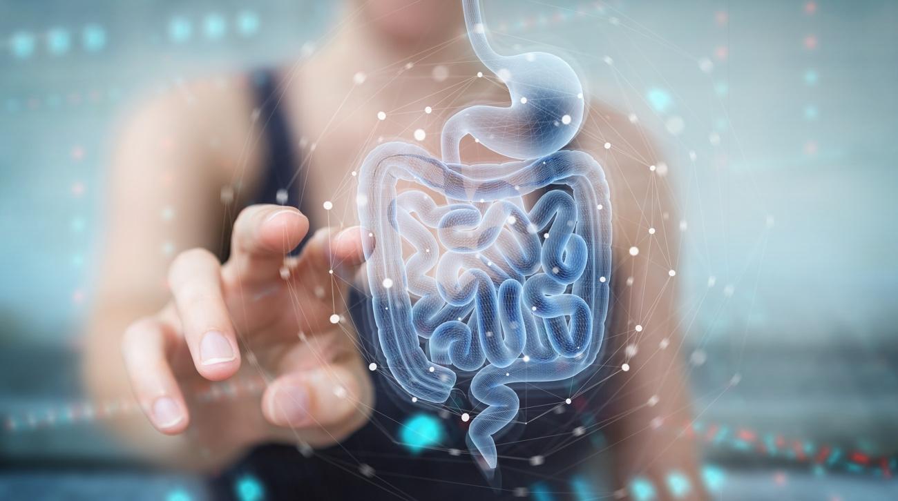 The Role of Probiotics in Maintaining Healthy Teeth and Gums