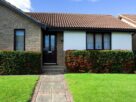 Lawn Revival Made Easy: How the Best Overseeding Services Transform Your Yard
