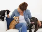 Pet Care