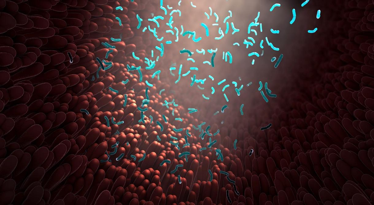 Your Gut, Your Rules: How to Take Control of Digestion Naturally with Probiotics