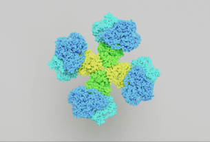 Peptides