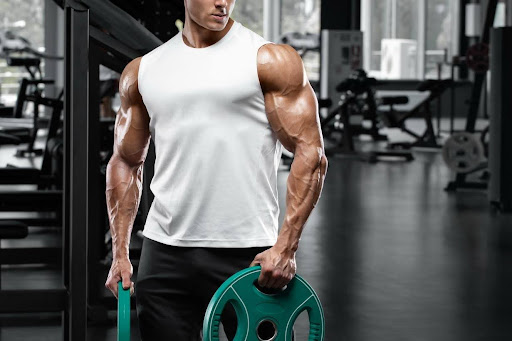 Modern Bodybuilding