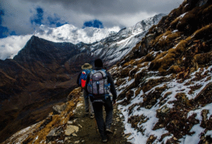 Mindful Journeys
