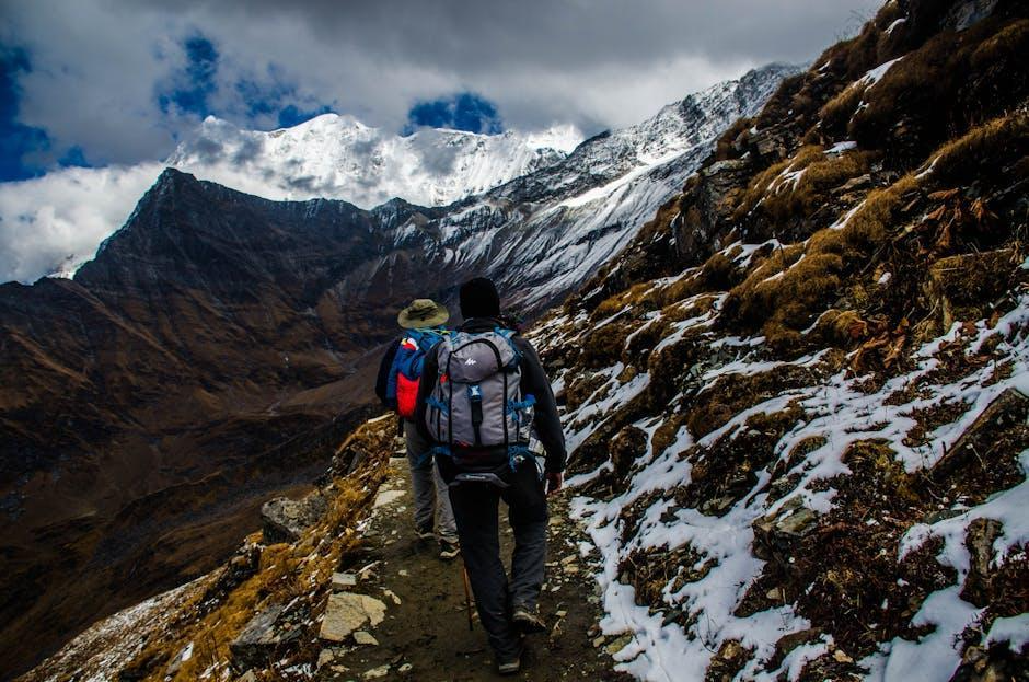 Mindful Journeys