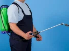 local pest control West Vancouver
