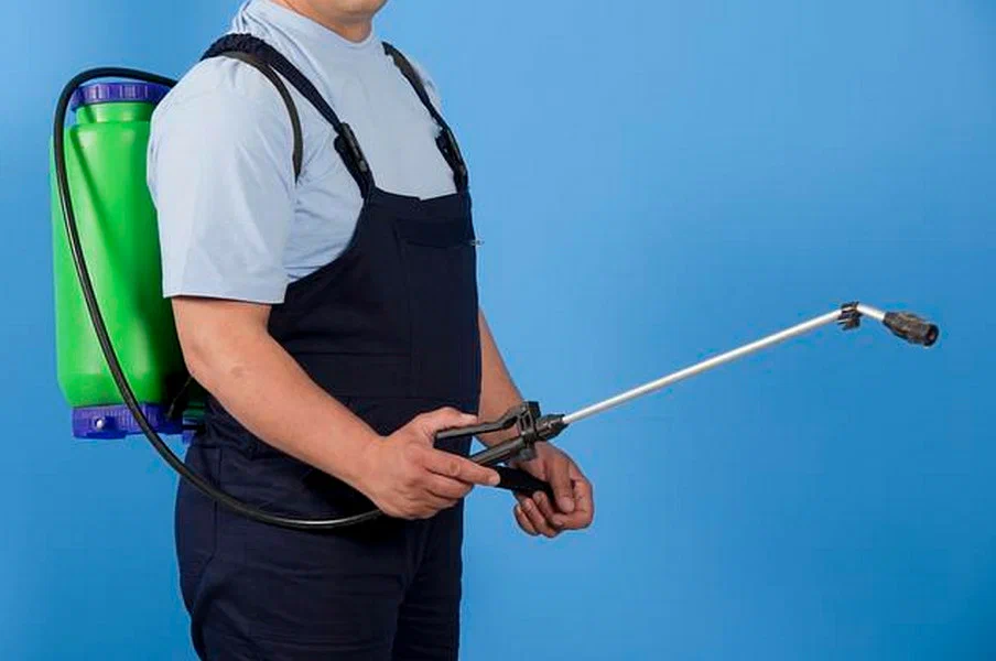 local pest control West Vancouver