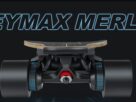 Electric Skateboard