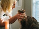 Veterinarian