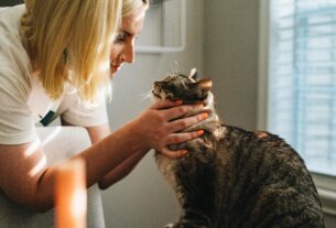 Veterinarian