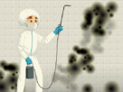Mold Remediation
