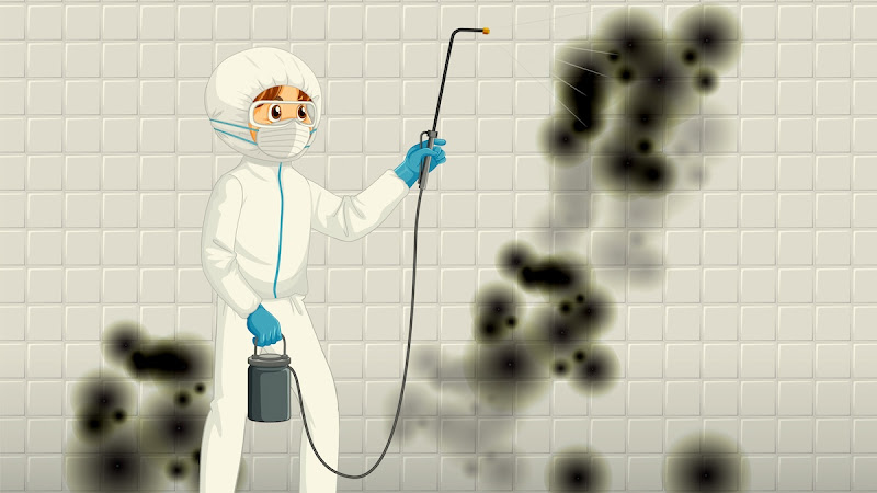 Mold Remediation