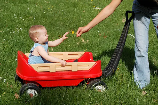 Toddler Wagon
