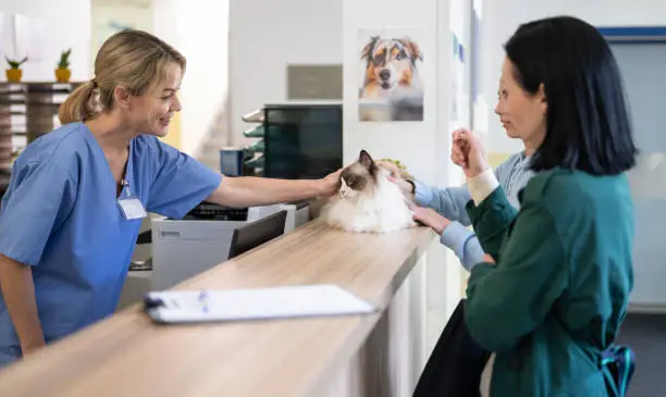 Veterinary Hospitals