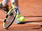 Tennis Fans
